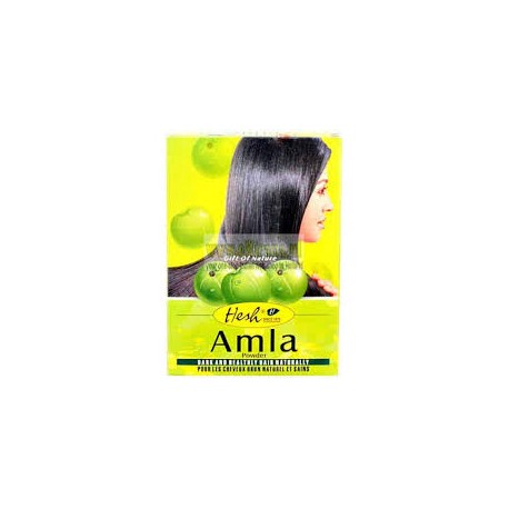 Hesh Amla - Soin pour cheveux et peau (produit ayurvédique d'Inde)