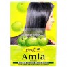 Hesh Amla - Soin pour cheveux et peau (produit ayurvédique d'Inde)