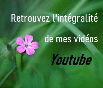 Mes vidéos Yourube
